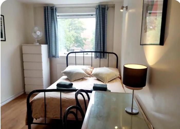 Nice room in Battersea Park Zone 1