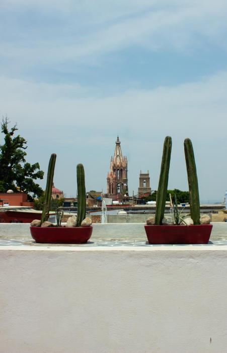 100-Year-Old Loft With Rooftop in Downtown