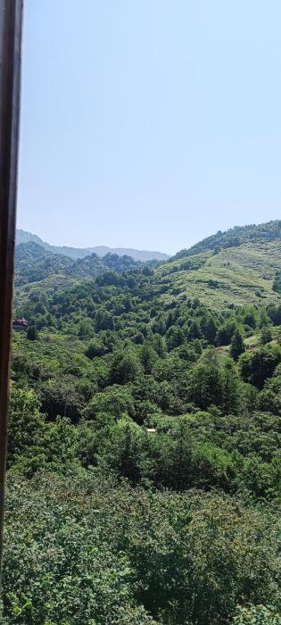 Дом для отдыха близко Батуми