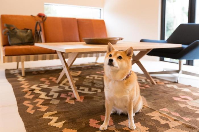 The Canvas Hayama Park