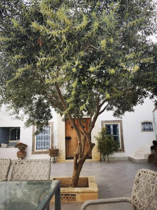 Dar arbi dans un village de pêcheur