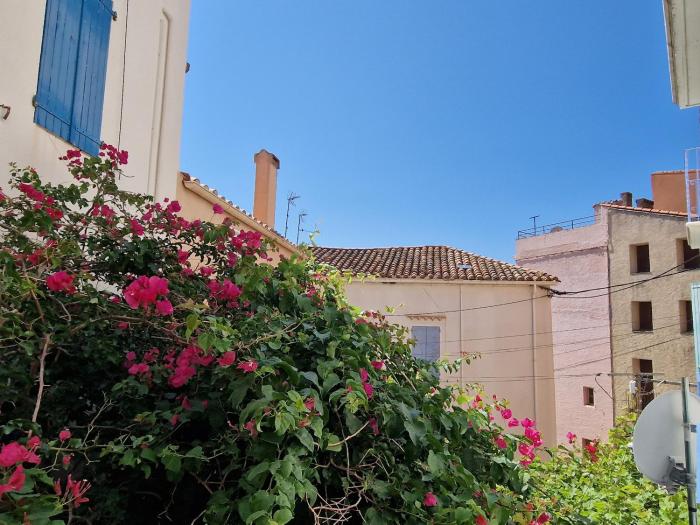 Appartement T3 Banyuls-sur-Mer, proche plage et commodités - FR-1-309-33