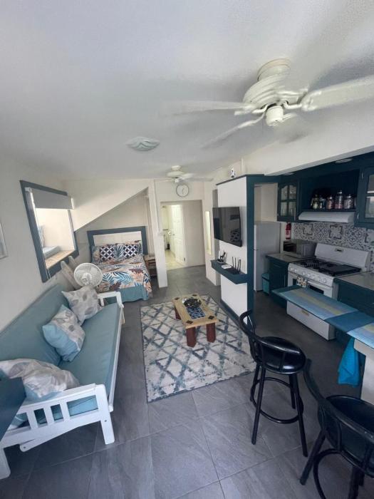 Scarlett Studios 3-US Embassy 7 mins drive- Lloyd Erskine Sandiford Centre & Ross university 5 mins drive-Only a 1 night reservation includes airport and embassy round trip