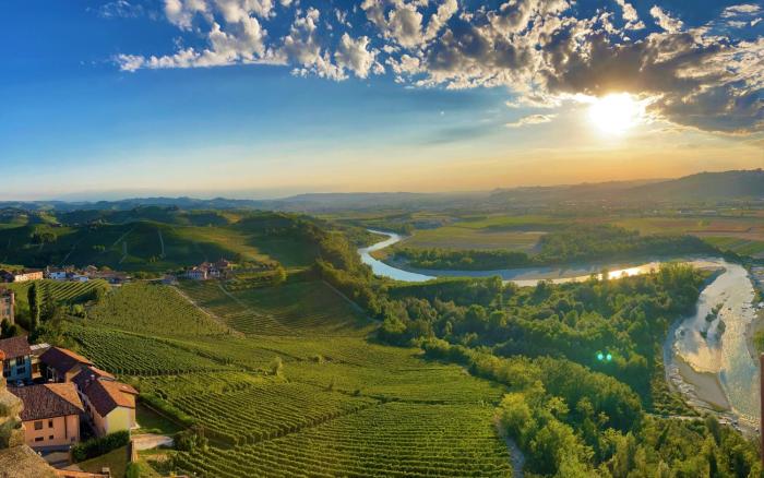 Cà Trifolera Barbaresco Apartament nelle Langhe - DEGUSTAZIONE VINI NELLA NOSTRA CANTINA