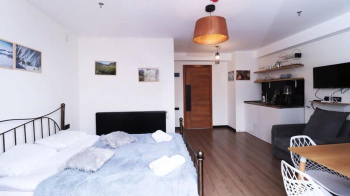 Bright Apartment in Marshall Gudauri