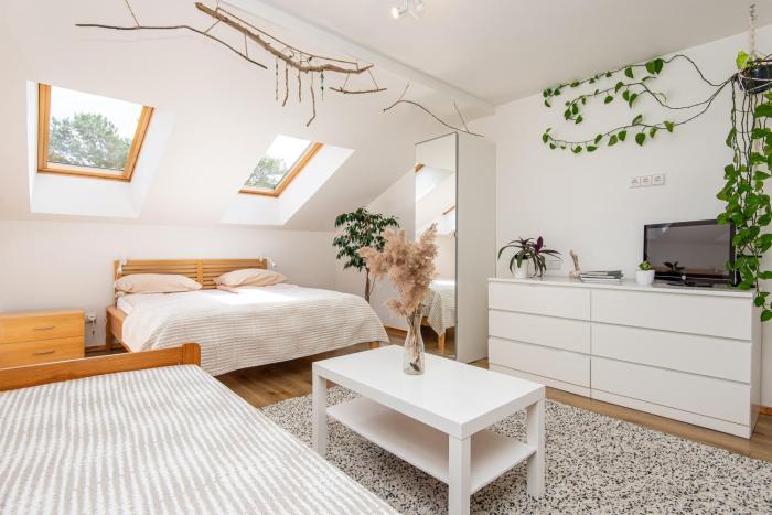 A r č i a u G a m t o s Nida