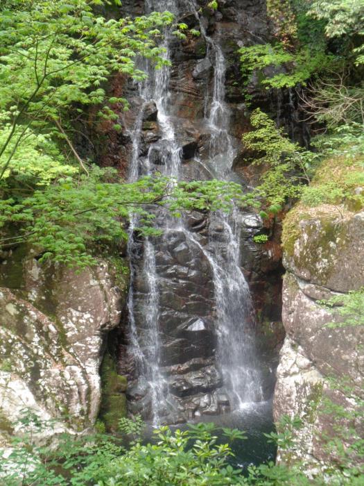 Premium Guest House Alaskan Dream