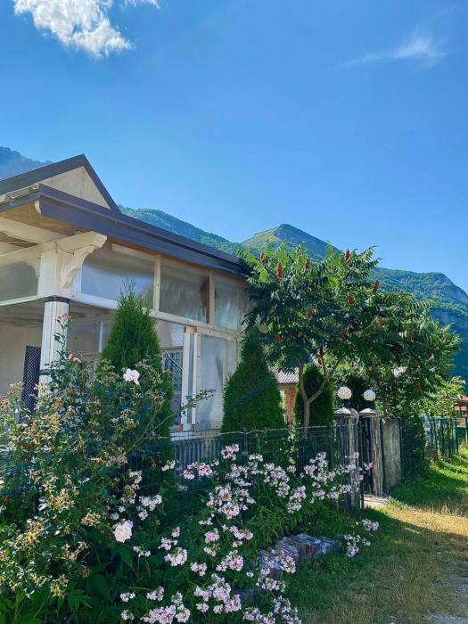 Lola Guest House