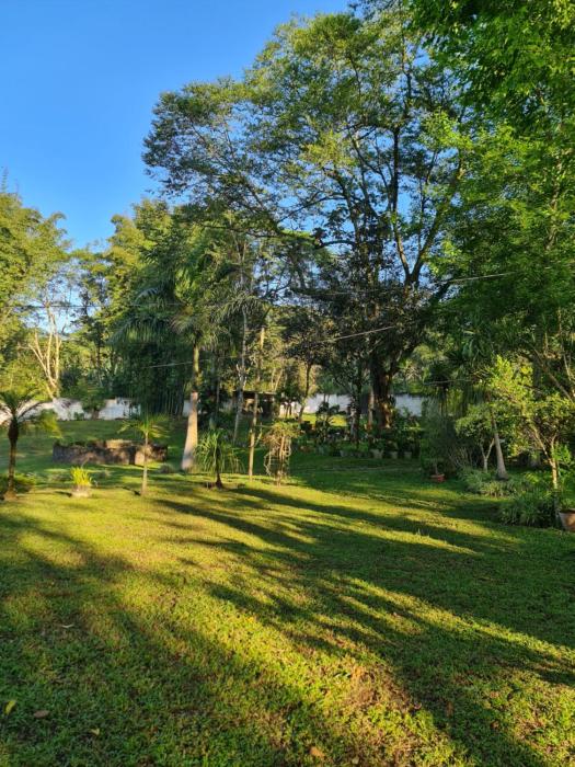 Jardín de los Anturios, Xico