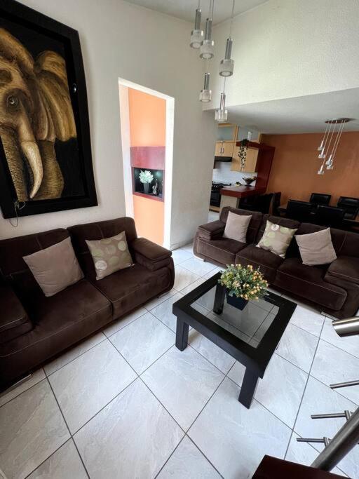 La Casita del Jardin