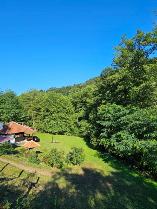 Slavovo dvorištance