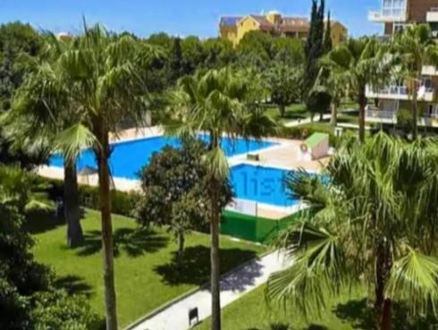 Hércules Nuevo y Moderno Estudio