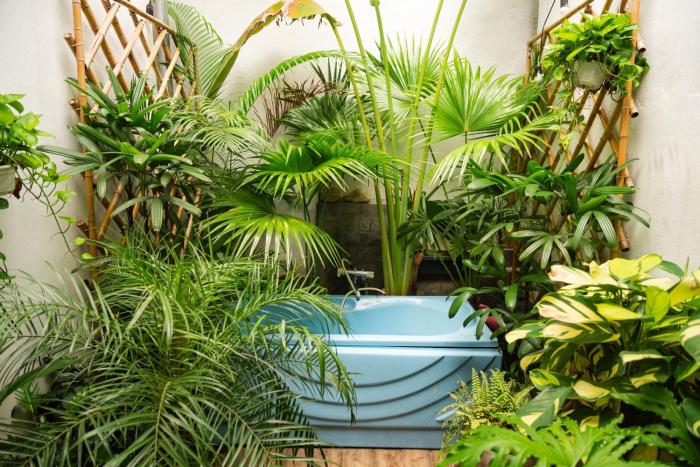 Old Quater Tropical House