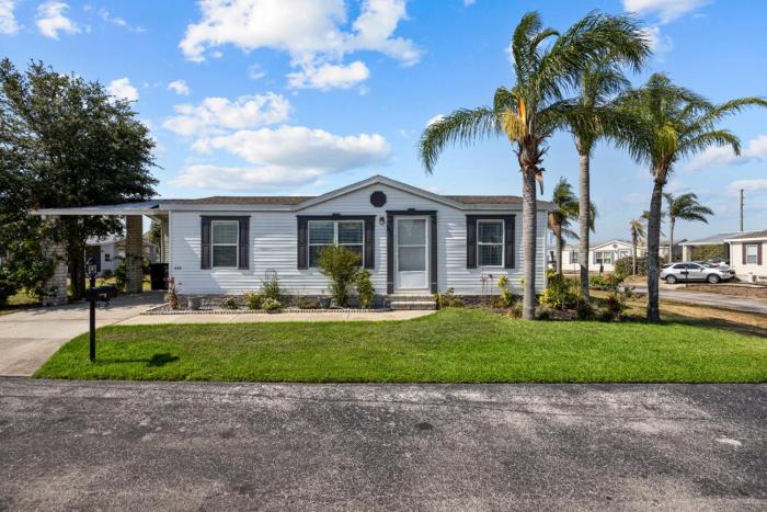 Disney Tropical Oasis