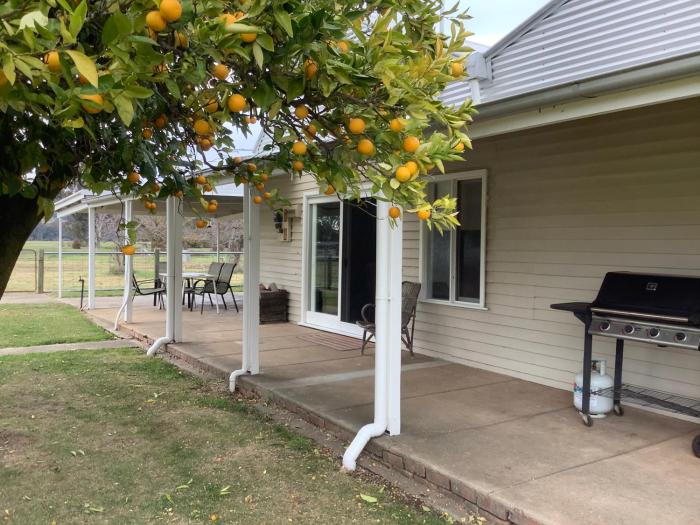 Orange Tree Cottage