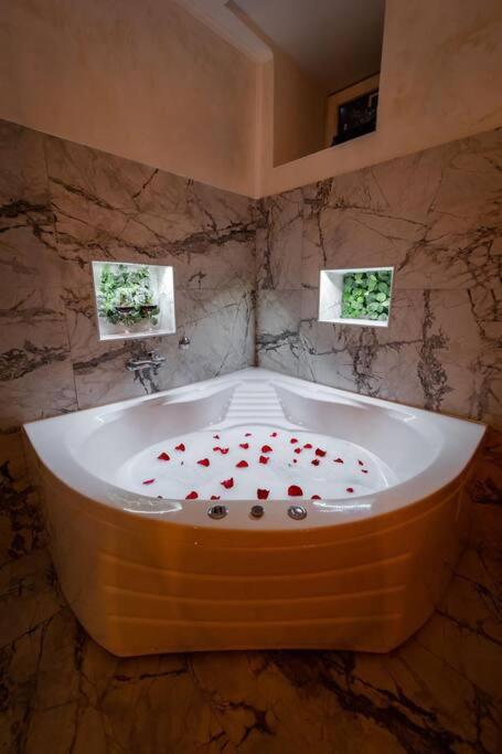 Lisa Zemun Spa Apartment