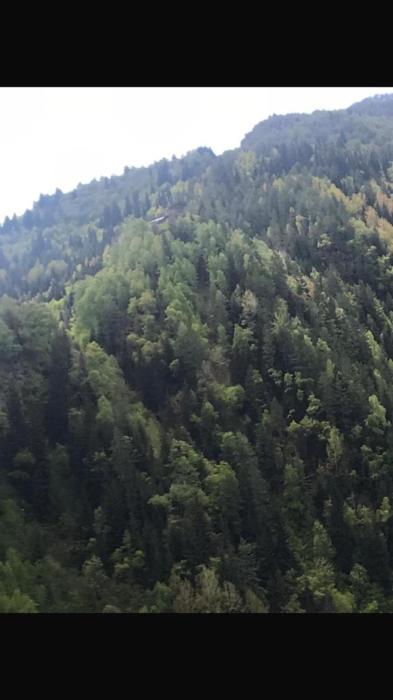 Guest House DEDA TINA