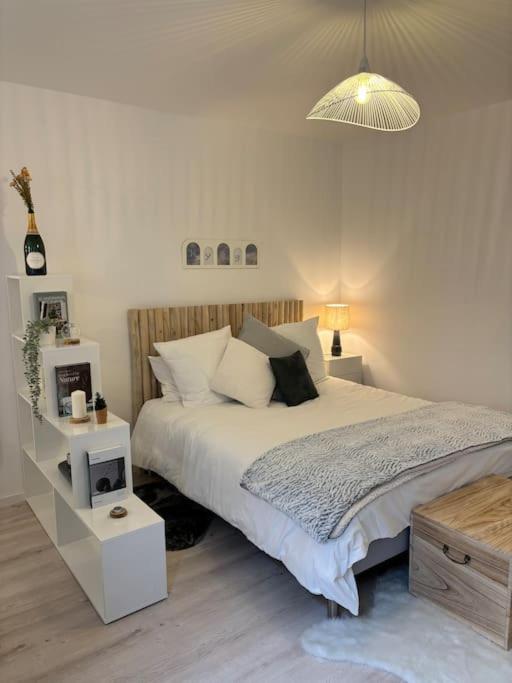 Le cocon Scandinavo-Champenois