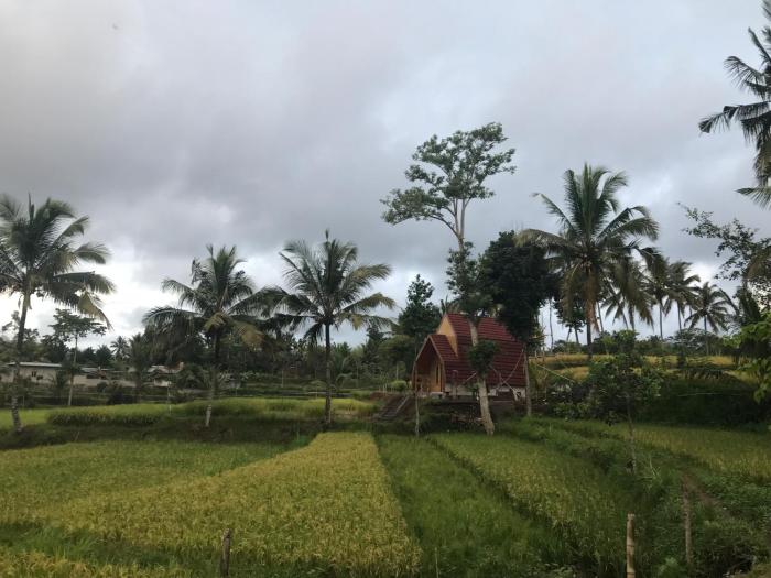 Eger Rise Terrace Bungalow