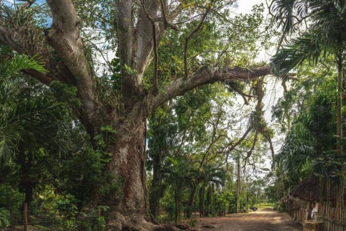 La casa del pescador