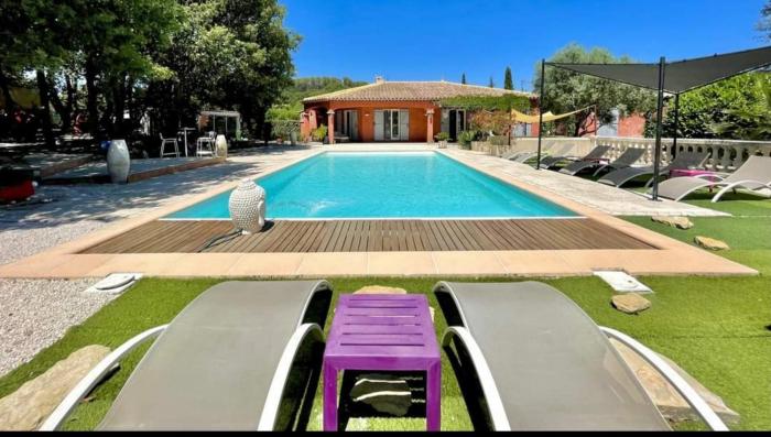 Les Lézards 2 au Soleil Draguignan