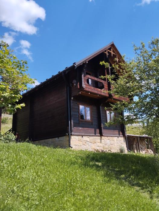 Котедж Славний гуцул & СПА чани джакузі