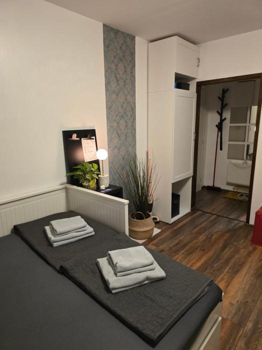 Studio apartman Tara