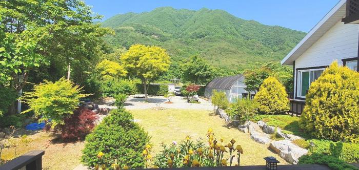 danyang deulggochyanggi