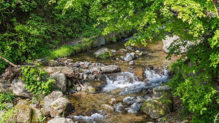 Gapyeong Cheotnooneh Pension