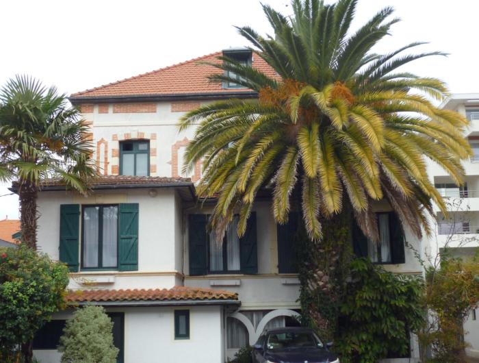 Grand studio avec Mezzanine et Terrasse