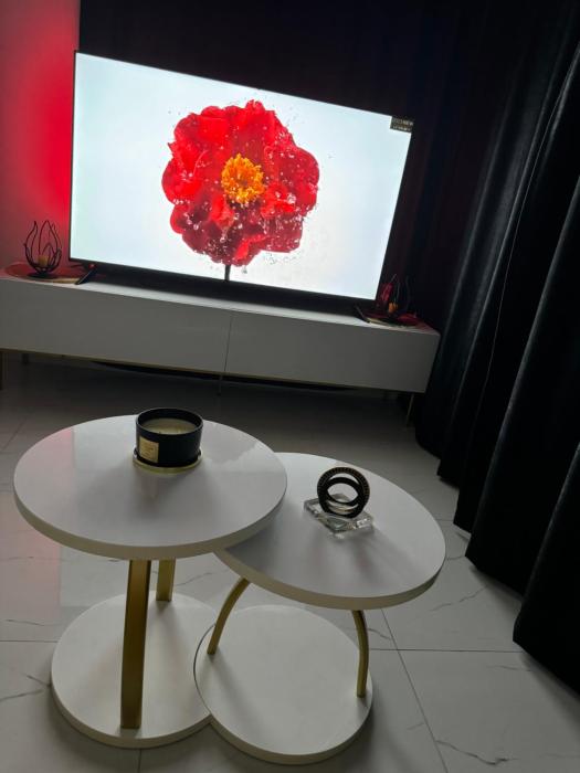 Luxury Apartment Lilly