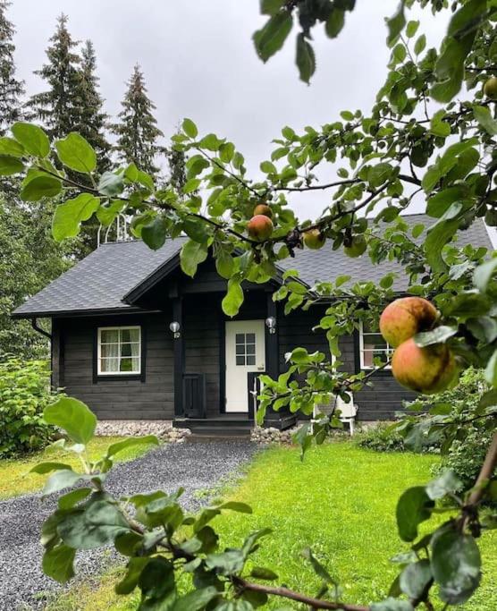 Tunnelmallinen ilmastoitu järvenrantahuvila