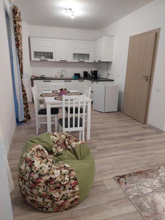 Ayan Panoramic Baile Felix