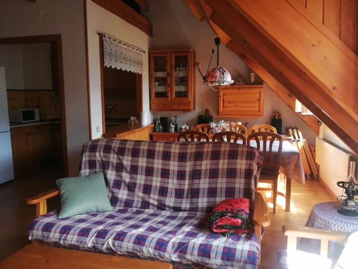 Chimenea y espacio para todos, ideal para famílias - Isard 2