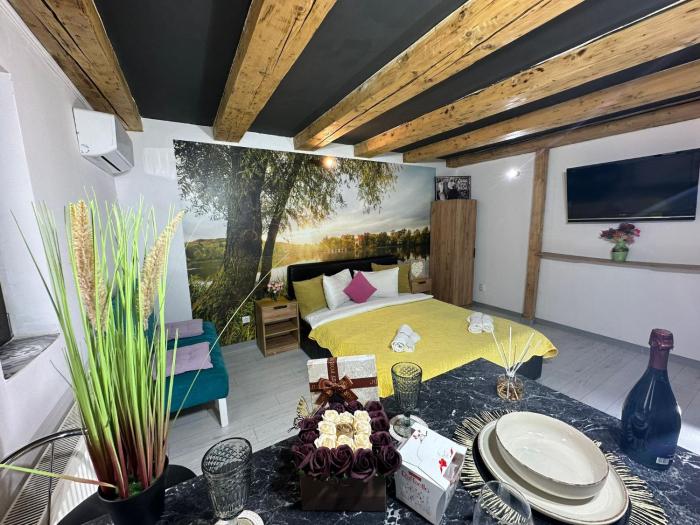 Aqua Studio Central Free Parking