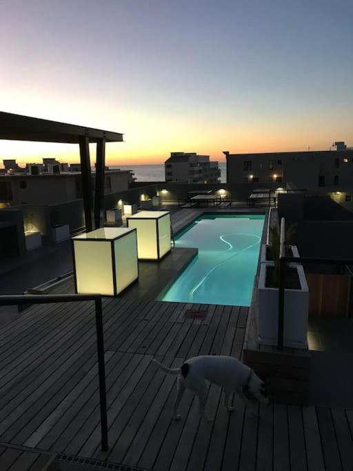 Seapoint apartment - Pool - Gym - Balcony