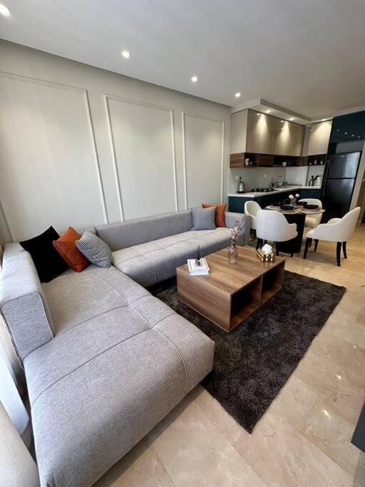 Studio Eucalyptus CFC n 16