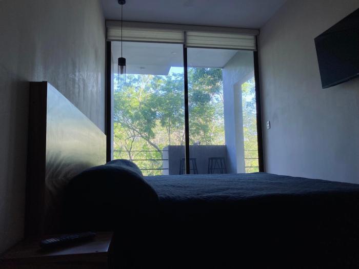 La Veleta Modern Jungle Living