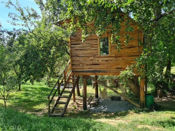 Apple Tree Cabin (Friendship Land)