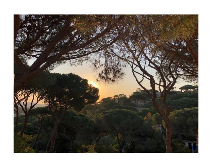 Résidence la Pinède