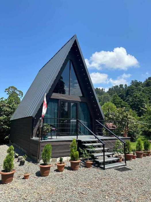 Cottage Lemons In Gonio