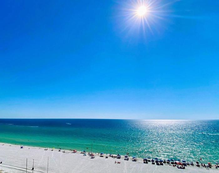 Pelican Walk 10061007