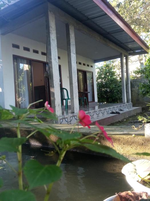 Zian guest house