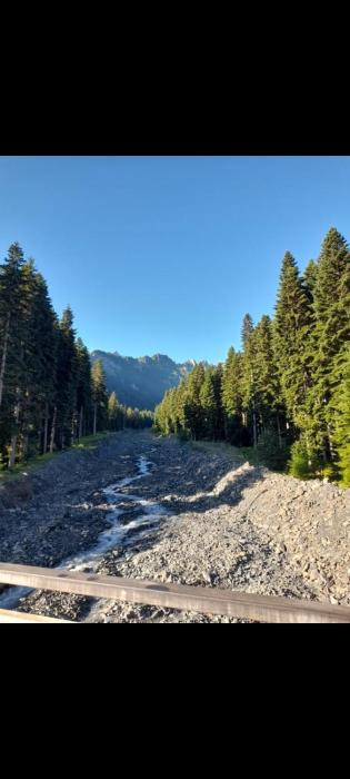 Guesthouse Kavkasioni