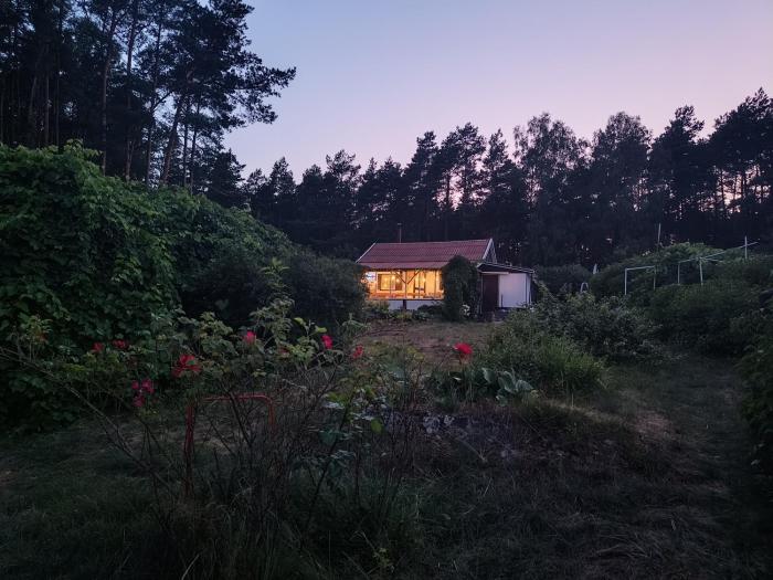 Leśny domek z prywatnym pomostem