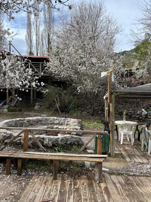 Cabaña Nido de Almas