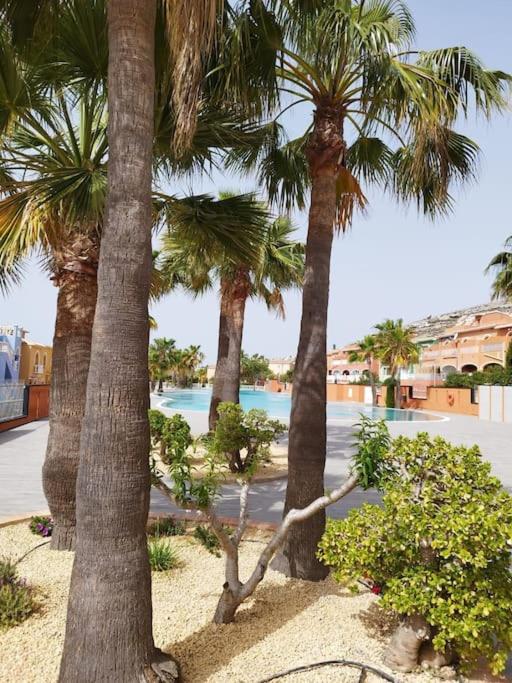 Zonnig appartement met zwembad