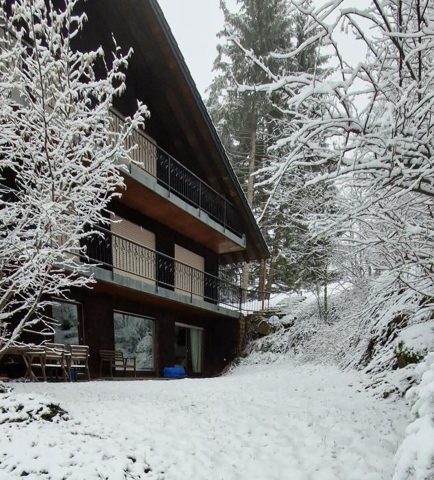 Ferienwohnung in Schönwald Schwarzwald