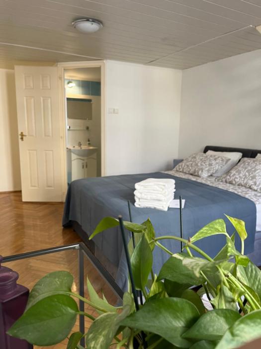 Central Downtown Apartments