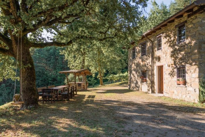 Abissinia, Gioiello nel Bosco